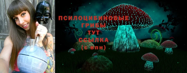 герыч Абаза